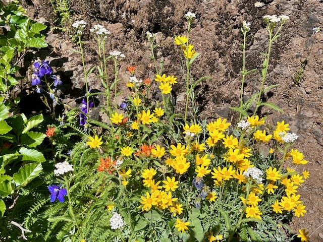 Iron Mountain